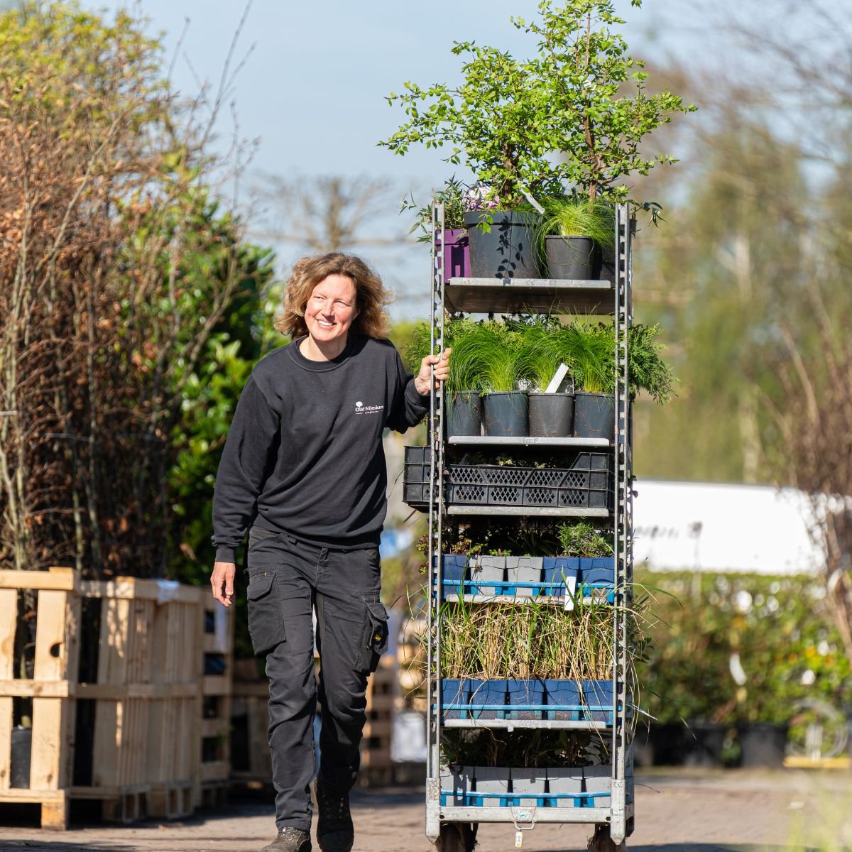 Olaf Nijenkamp in de bibliotheek