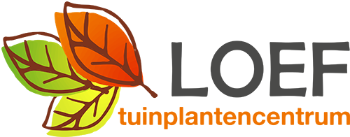 Tuinplantencentrum Loef Tuinplantencentrum Loef