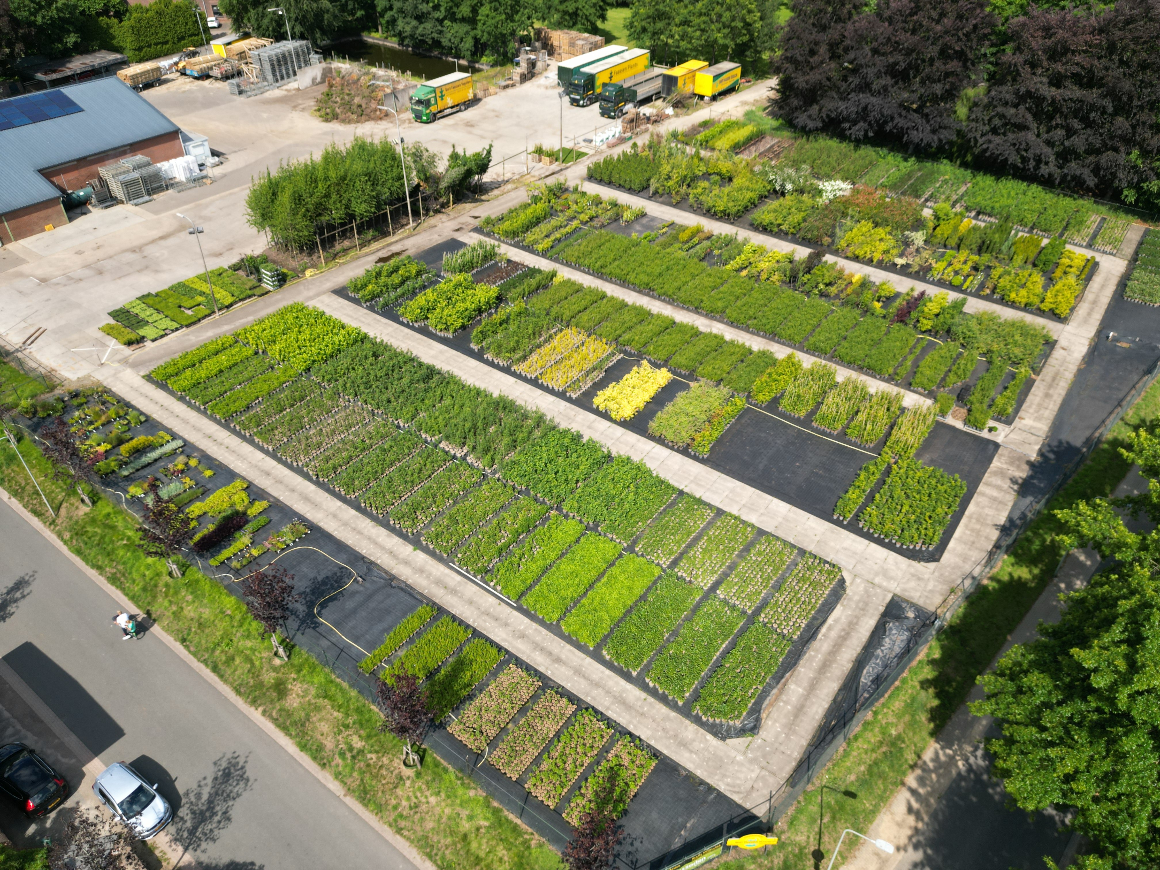 Faassen Plants Aangesloten deelnemers Faassen Plants | Suite MKB B.V.
