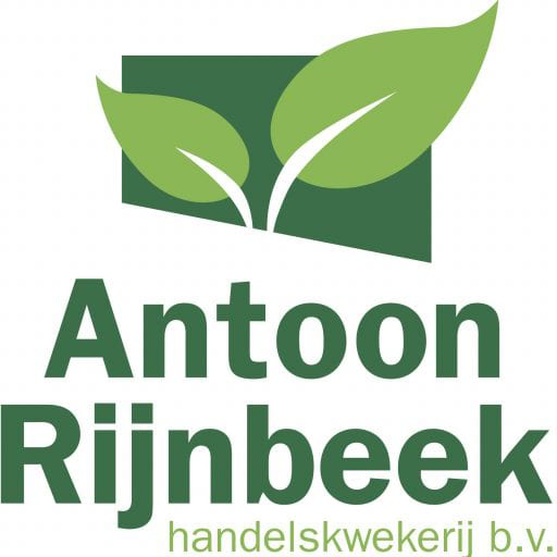 Antoon Rijnbeek Handelskwekerij B.V. Antoon Rijnbeek Handelskwekerij B.V.