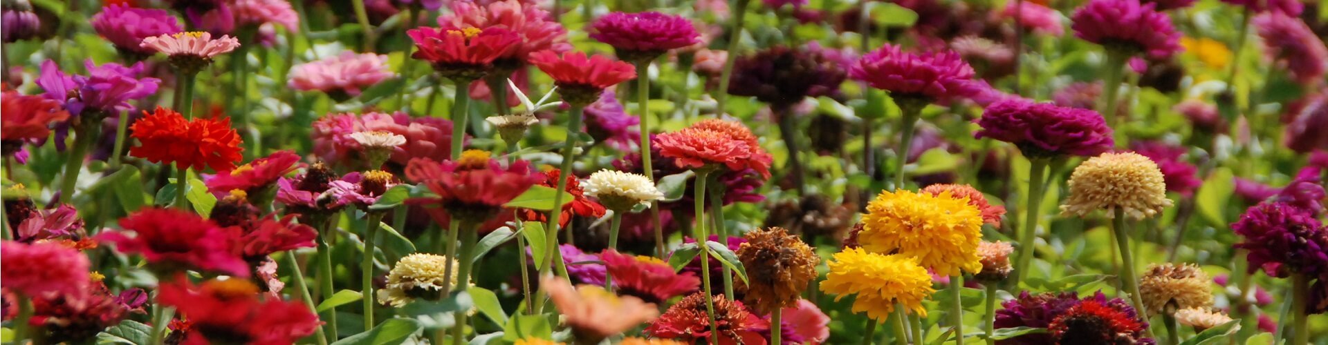 Aangesloten deelnemers Florisan B.V. | Suite MKB B.V.