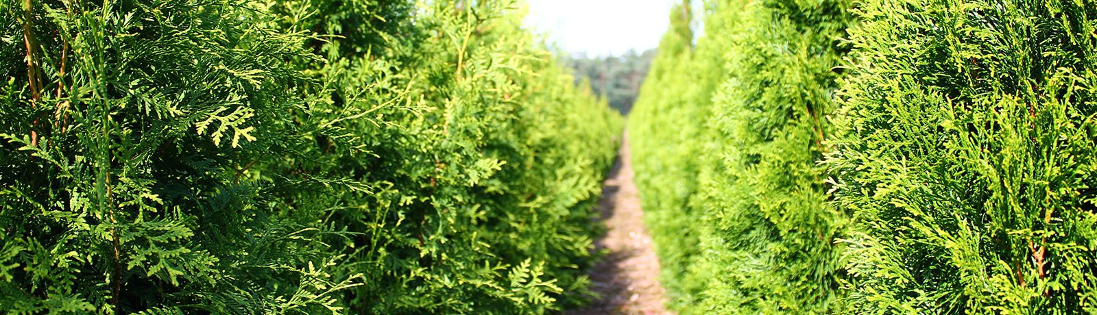 Aangesloten deelnemers Handelskwekerij de Buurte B.V. | Suite MKB B.V.