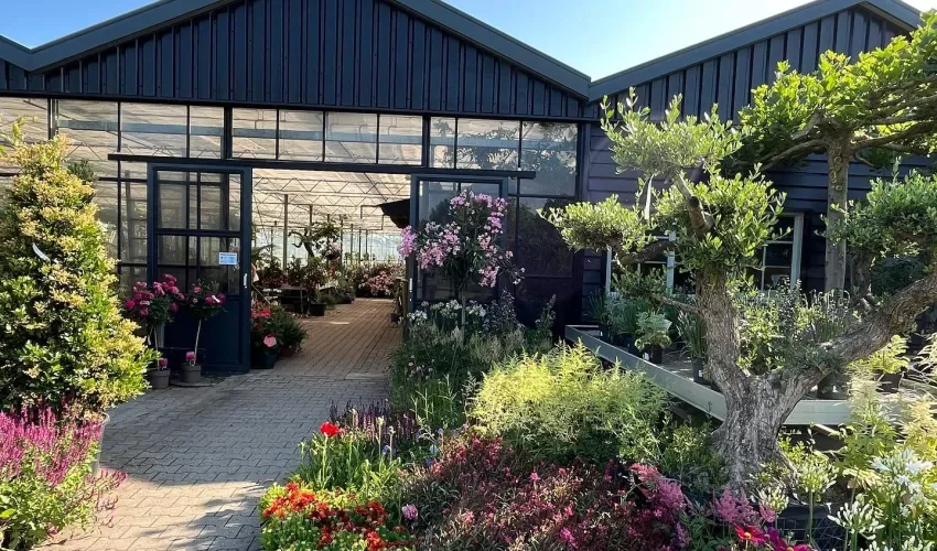 Aangesloten deelnemers Bast d&eacute; Plantgigant | Suite MKB B.V.