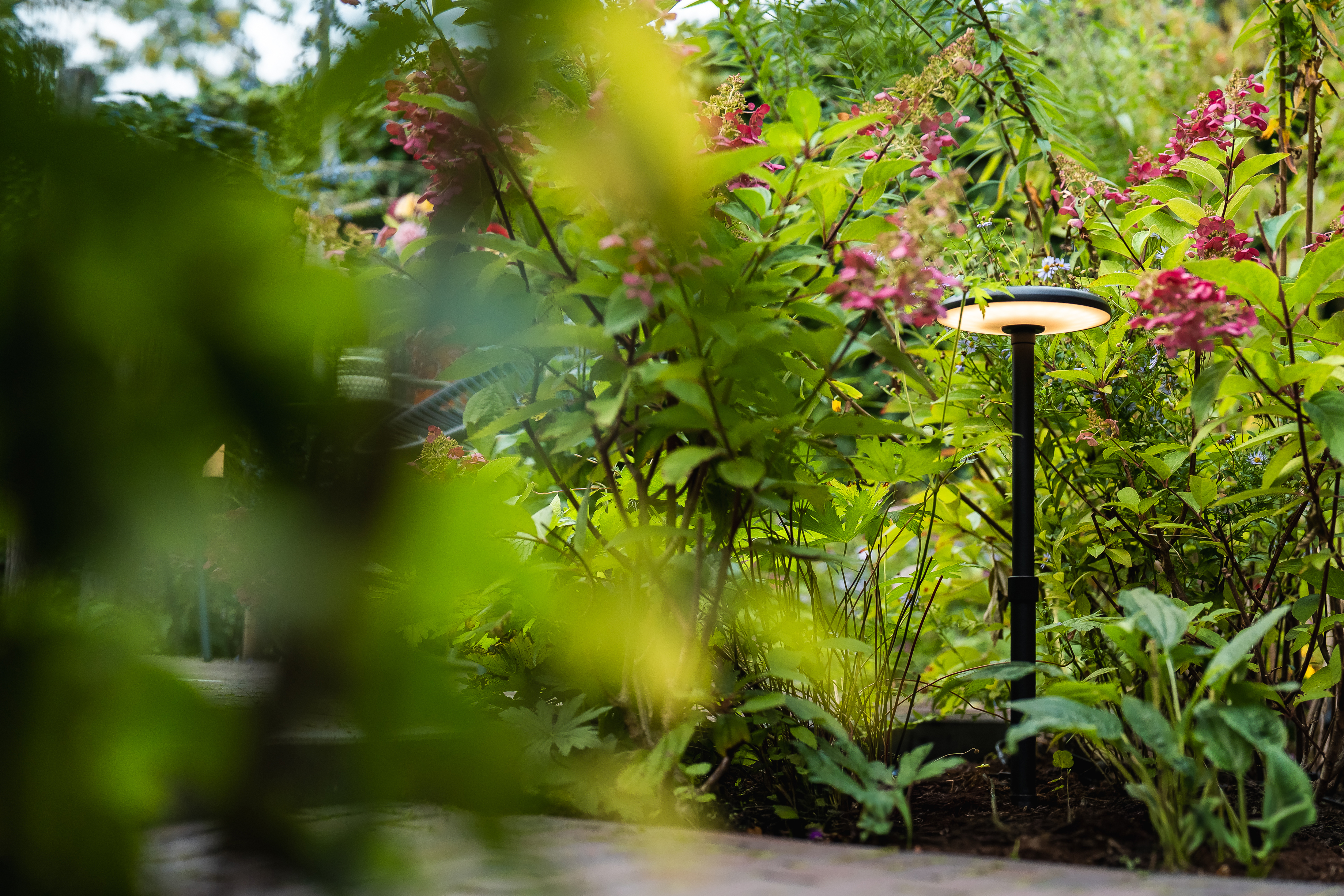 Aangesloten deelnemers Hamulight | Suite MKB B.V.