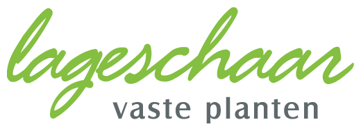 Lageschaar Vaste Planten Lageschaar Vaste Planten
