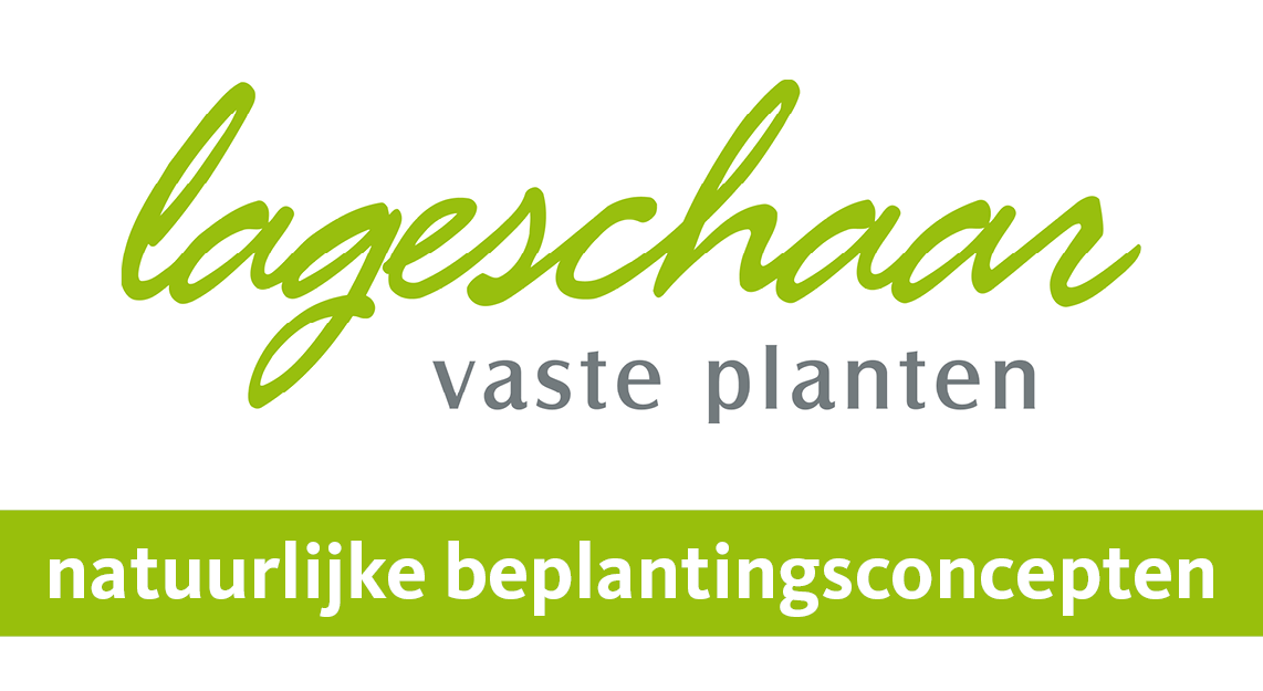 Lageschaar Natuurlijke Beplantingsconcepten Lageschaar Natuurlijke Beplantingsconcepten